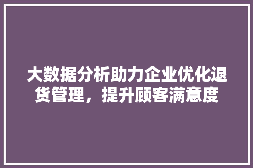 大数据分析助力企业优化退货管理，提升顾客满意度