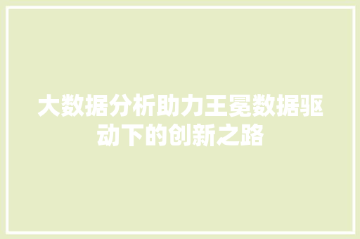 大数据分析助力王冕数据驱动下的创新之路