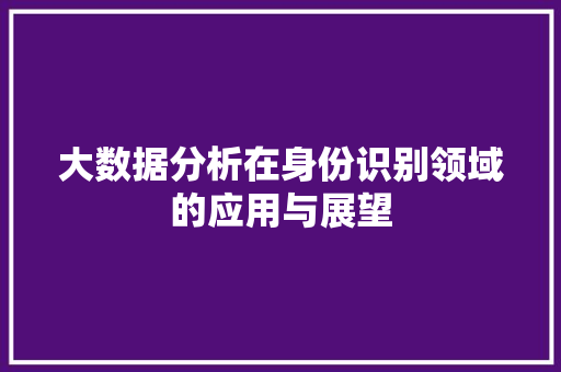 大数据分析在身份识别领域的应用与展望