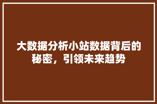大数据分析小站数据背后的秘密，引领未来趋势 电脑配置