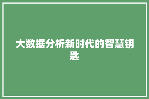 大数据分析新时代的智慧钥匙