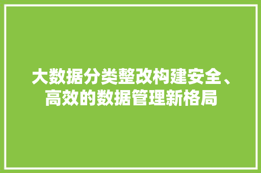 大数据分类整改构建安全、高效的数据管理新格局