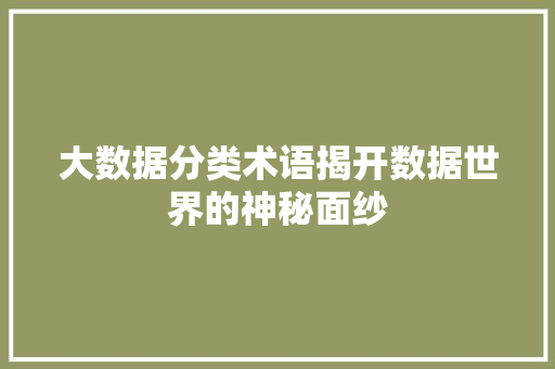 大数据分类术语揭开数据世界的神秘面纱