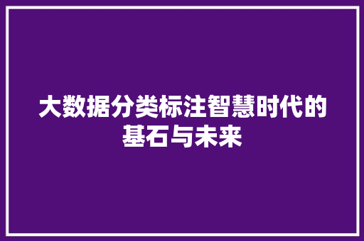 大数据分类标注智慧时代的基石与未来