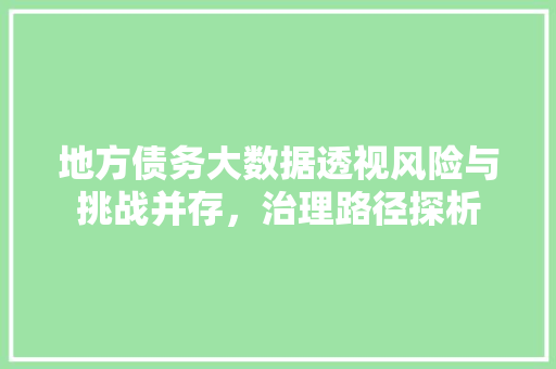 地方债务大数据透视风险与挑战并存，治理路径探析 编程语言