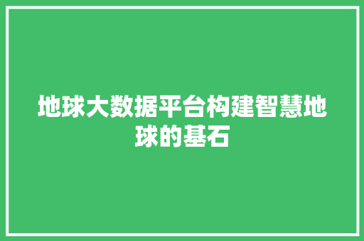 地球大数据平台构建智慧地球的基石 电脑配置