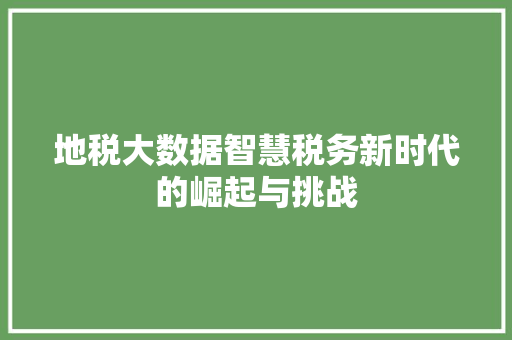 地税大数据智慧税务新时代的崛起与挑战