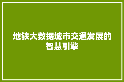 地铁大数据城市交通发展的智慧引擎