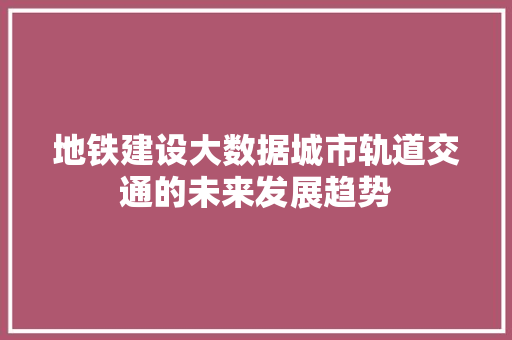 地铁建设大数据城市轨道交通的未来发展趋势