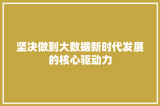 坚决做到大数据新时代发展的核心驱动力