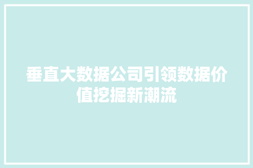 垂直大数据公司引领数据价值挖掘新潮流 编程语言