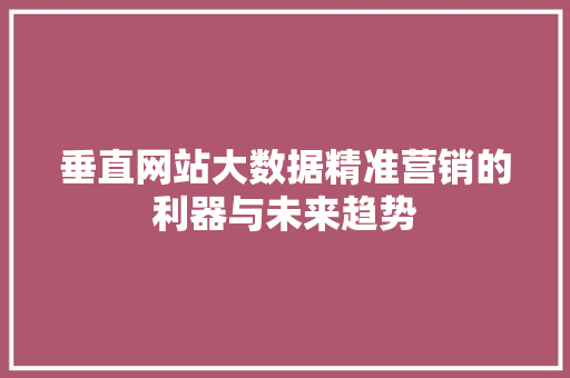 垂直网站大数据精准营销的利器与未来趋势