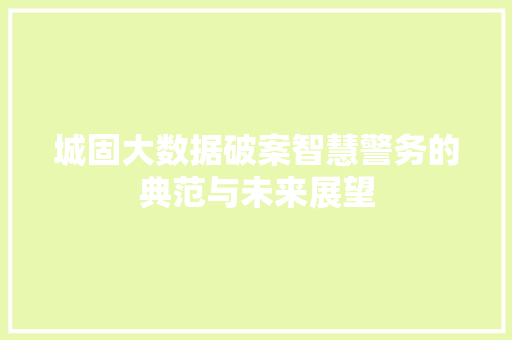 城固大数据破案智慧警务的典范与未来展望