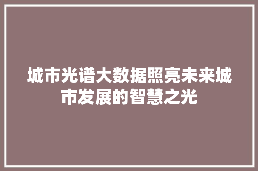 城市光谱大数据照亮未来城市发展的智慧之光 电脑配置
