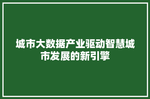 城市大数据产业驱动智慧城市发展的新引擎 网络技术
