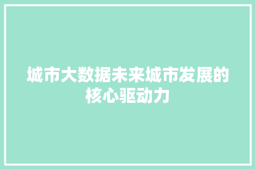 城市大数据未来城市发展的核心驱动力 编程语言