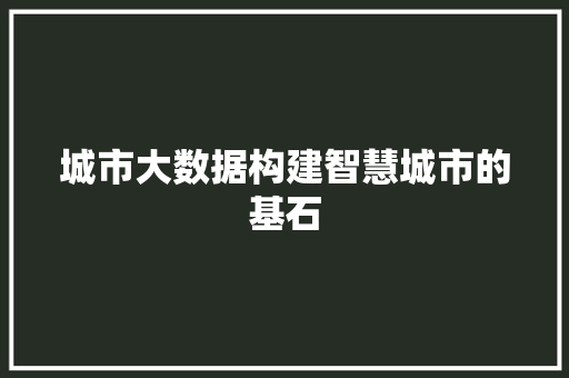 城市大数据构建智慧城市的基石 编程语言