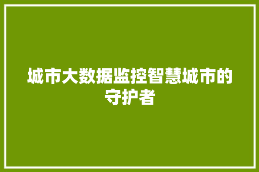 城市大数据监控智慧城市的守护者