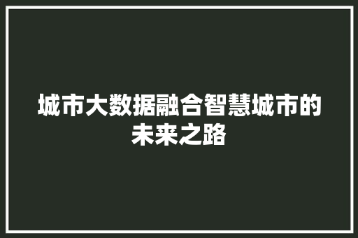 城市大数据融合智慧城市的未来之路 编程语言