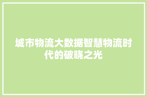 城市物流大数据智慧物流时代的破晓之光 编程语言