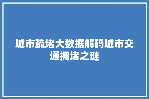 城市疏堵大数据解码城市交通拥堵之谜 网络技术