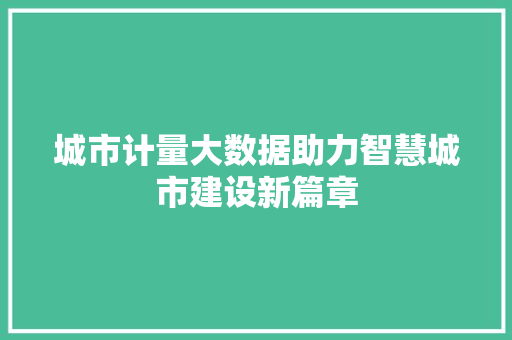 城市计量大数据助力智慧城市建设新篇章 电脑故障维修