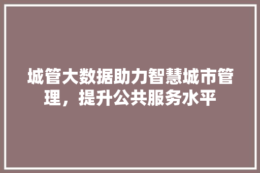 城管大数据助力智慧城市管理，提升公共服务水平 电脑基础