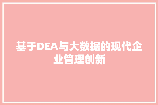 基于DEA与大数据的现代企业管理创新 编程语言