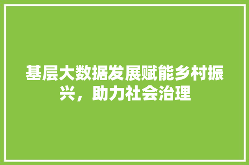 基层大数据发展赋能乡村振兴，助力社会治理 电脑基础