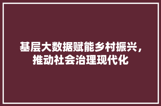 基层大数据赋能乡村振兴,推动社会治理现代化 电脑故障维修 基层大数据赋能乡村振兴,推动社会治理现代化 电脑故障维修