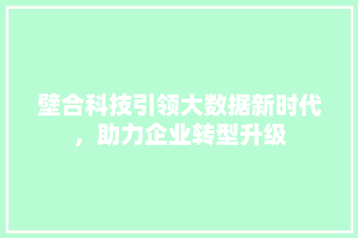 壁合科技引领大数据新时代，助力企业转型升级 编程语言