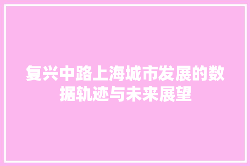 复兴中路上海城市发展的数据轨迹与未来展望 网络技术
