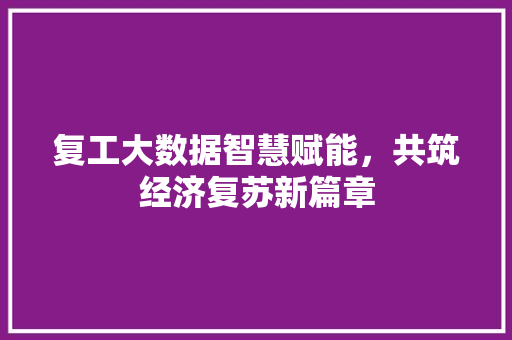 复工大数据智慧赋能，共筑经济复苏新篇章 电脑故障维修