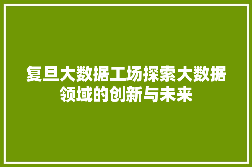 复旦大数据工场探索大数据领域的创新与未来 电脑故障维修