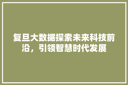 复旦大数据探索未来科技前沿，引领智慧时代发展 网络技术