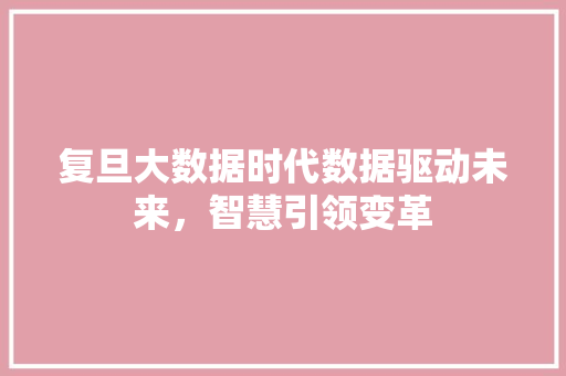 复旦大数据时代数据驱动未来，智慧引领变革 网络技术