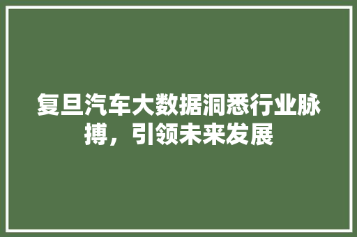 复旦汽车大数据洞悉行业脉搏，引领未来发展 电脑配置