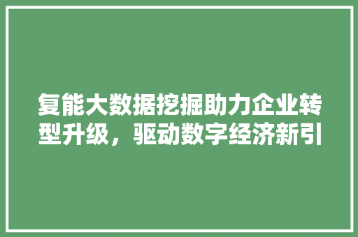 复能大数据挖掘助力企业转型升级，驱动数字经济新引擎 电脑基础