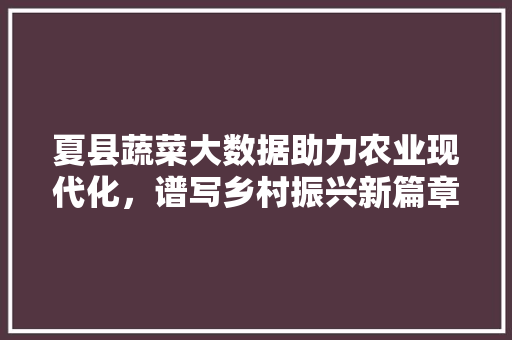 夏县蔬菜大数据助力农业现代化，谱写乡村振兴新篇章 网络技术