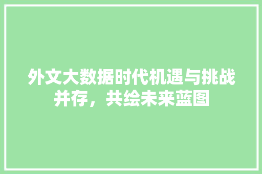 外文大数据时代机遇与挑战并存，共绘未来蓝图