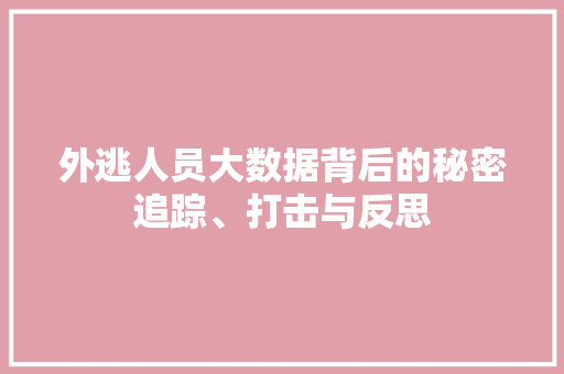 外逃人员大数据背后的秘密追踪、打击与反思 电脑基础