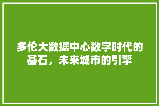 多伦大数据中心数字时代的基石，未来城市的引擎 电脑基础