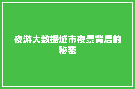 夜游大数据城市夜景背后的秘密 网络技术