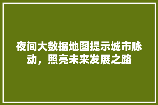 夜间大数据地图提示城市脉动，照亮未来发展之路 网络技术