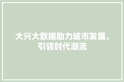 大兴大数据助力城市发展，引领时代潮流 网络技术