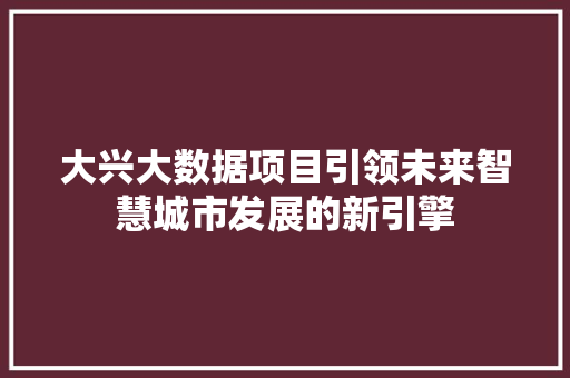 大兴大数据项目引领未来智慧城市发展的新引擎 电脑故障维修