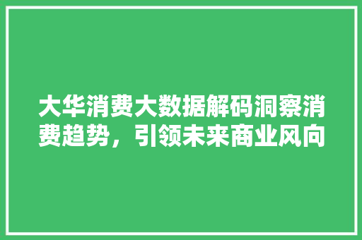 大华消费大数据解码洞察消费趋势，引领未来商业风向标 编程语言