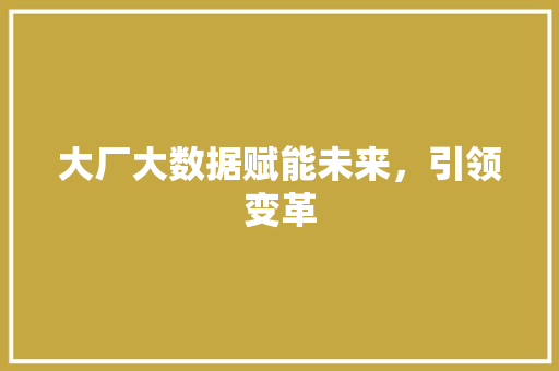 大厂大数据赋能未来，引领变革 电脑故障维修
