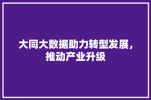 大同大数据助力转型发展，推动产业升级 电脑基础