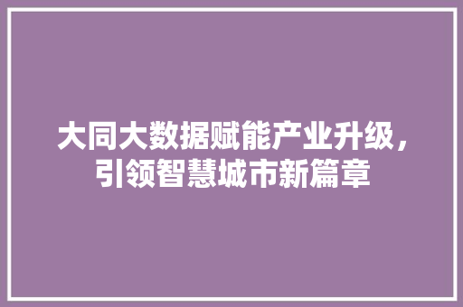 大同大数据赋能产业升级，引领智慧城市新篇章 编程语言
